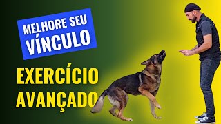 TRUQUE DE ANDAR PARA TRÁS - Ensine além dos COMANDOS BÁSICOS e aumente o vínculo com seu CACHORRO.