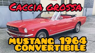 viaggio a caccia di una mustang TEDESCA