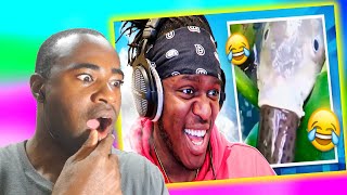 KSI Try Not To Laugh (Inappropriate Edition) REACTION @jjolatunji