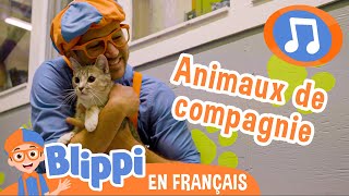 La chanson pour s'occuper des animaux de compagnie | 🎵Blippi en Français -  Chansons pour enfants