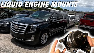 Liquid Engine Mounts  (Let Loose) Cadillac Escalade ESV 6.2