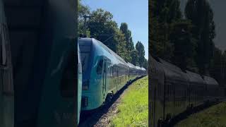 Stadler Kiss 3 Neo also RE 8 nach Lübeck Hbf #trainspotting #zug #train #regional #hamburg #shorts