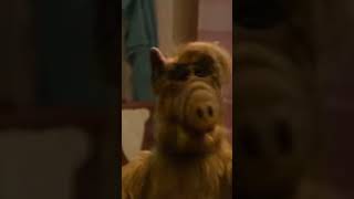 Alf meets Johnny! #alf #80stv #theshining #funnyvideo #mashup #jacknicholson #heresjohnny #viral