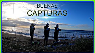 JORNADONN¡¡¡ TEMPORAL buscando el SARGO, CAPTURAS VARIAS DE UN TEMPORAL...SURFCASTING GRANADA