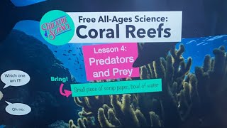 All-ages Home Ed: Coral Reefs: Predators and Prey!