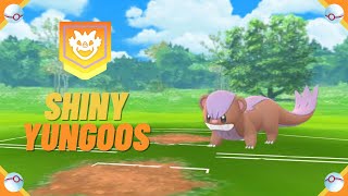 A Wild ✨ Shiny Yungoos ✨ Appeared! [Pokemon GO] #shorts