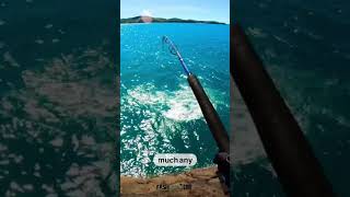 FISHMAK.COM✅🤝#seafishing #fishing #fishingvideo