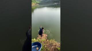 #fishing