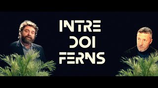 MM Stoica Între Doi "Ferns"