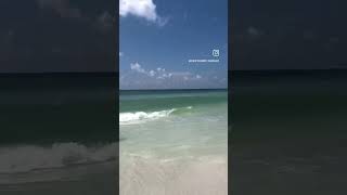 Destin, Florida | Henderson Beach State Park #short #shorts #emeraldcoast