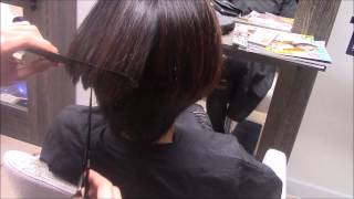 Playful Reverse Graduation Bob.Jayhair1