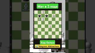 Telegram: Albinachess #chess #шахматы #chorts