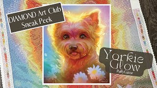 Diamond Art Club Sneak Peek “Yorkie Glow” by PuffyGator