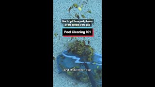 🍃Pool Cleaning 101 - How To Get Leaves Off The Bottom Of The Pool💦