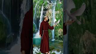 são Francisco de Assis #viral #catolica #igreja #motivação #reflexão #oração #fransciscodeassis