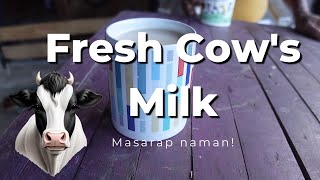 Fresh Cows Milk