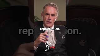 How Women select Men - Jordan Peterson