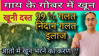 गाय के गोबर में खून आना ।। भैंस के गोबर में खून आना ।।  Gay ke gobar me khun aana ।। Coccidiosis