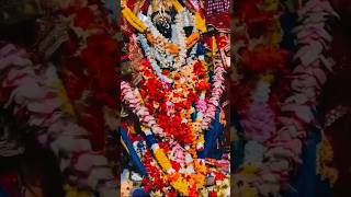 Jay tu mangala mago #odiabhajan #maa #maamangalatemple #viral #trendingshorts #ytshorts