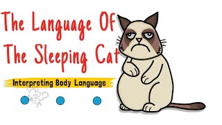 THE LANGUAGE OF THE SLEEPING CAT 9 (Interpreting Feline Body Language)