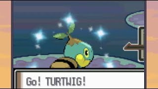 Live Shiny Turtwig after 13,798 Srs in Platinum!