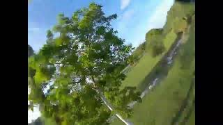 Fpv Sbang + Flow training