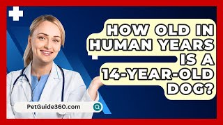 How Old In Human Years Is A 14-Year-Old Dog? - PetGuide360.com