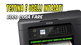 STAMPANTE EPSON pulizia TESTINA e UGELLI bloccati, ecco come fare. Semplice ed efficace .