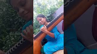 Nenjamellam kadhal | Aayutha Ezhuthu | ARR | Veena Cover | Ragam Based on Keeravani