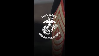 Around the Corps - August 11, 2023