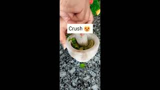 Mint Mojito#Summer Special Drink#Easy Receipe#Yt Shorts#Viral Shorts