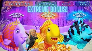 TRIPLE FEATURES HIT ON BOTH SLOTS! Gold Fish & Coin Trio!