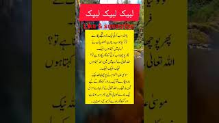 لبیک لبیک لبیک لبیک#shortsviral #islamicshort #youtube