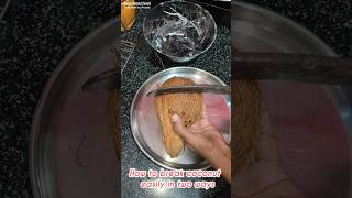 Easiest hack to crack a Coconut - How to get coconut meat with ease - Kitchen Hacks #coconuthacks