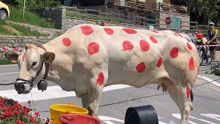 Tour de France 2024 Stage 4 - Pinerolo-Valloire