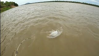 PESCARIA NO RIO SÃO FRANCISCO SEMPRE TEM EMOÇÃO.