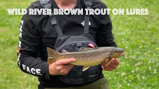 Brown Trout on LURES