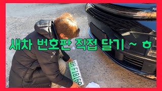 새차 번호판 직접 달기 ~ 이런 경험 처음이야 ㅎ 아쿠아 최  EP.590