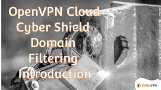 OpenVPN Cloud Cyber Shield Domain Filtering Introduction