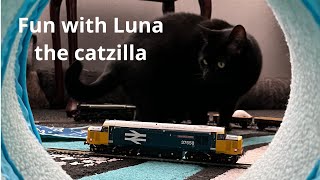 Fun with Luna the Catzilla