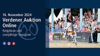 Verden Auction Online - November 16th - Presentation of the dressage and show jumping horses