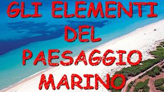 Il mare - Scuola Primaria