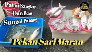 Pekan Sehari Maran | Lubuk Ikan Sungai Dan Sayur Kampung.