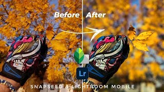 HOW TO BLUR A BACKGROUND And create depth of field in Snapseed | how to create bokeh