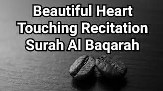 Beautiful Heart  Touching Recitation Surah Al Baqarah urdu #quran #youtubevideos #viral