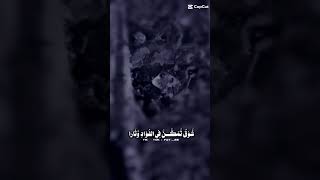 صلوا على النبي محمد عليه افضل الصلاة والسلام