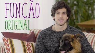 A FUNÇÃO ORIGINAL DAS RAÇAS | Bom Pra Cachorro