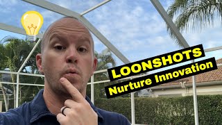 How to Nurture Loonshots: Innovation Structure