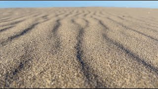 Desert Sand Blowing in Wind Sound Effect and Stock Video | Grains of Sand Blowing Across Desert