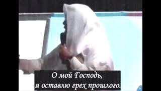 Я люблю тебя, о Господь мой